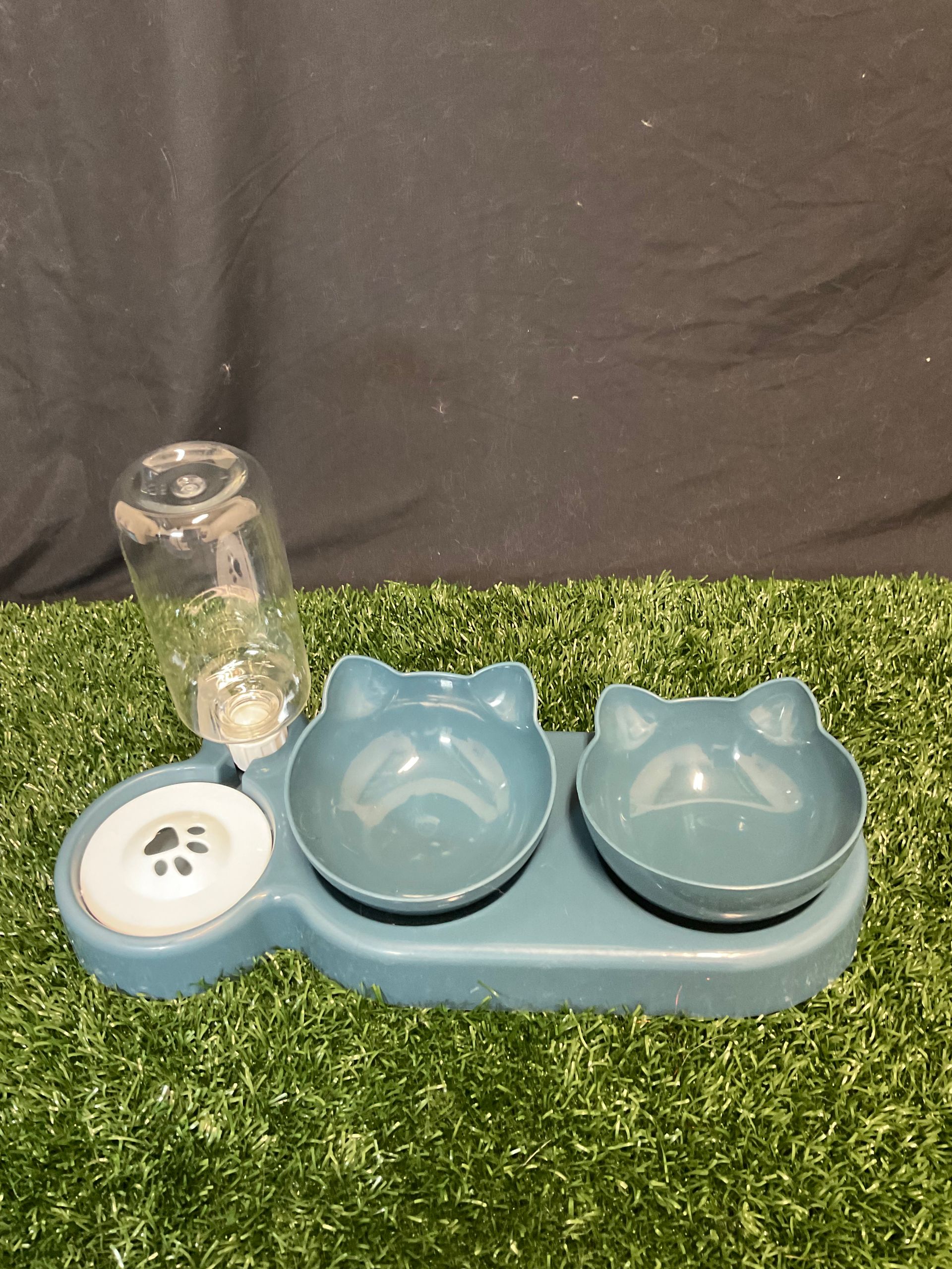 cat feeding bowls