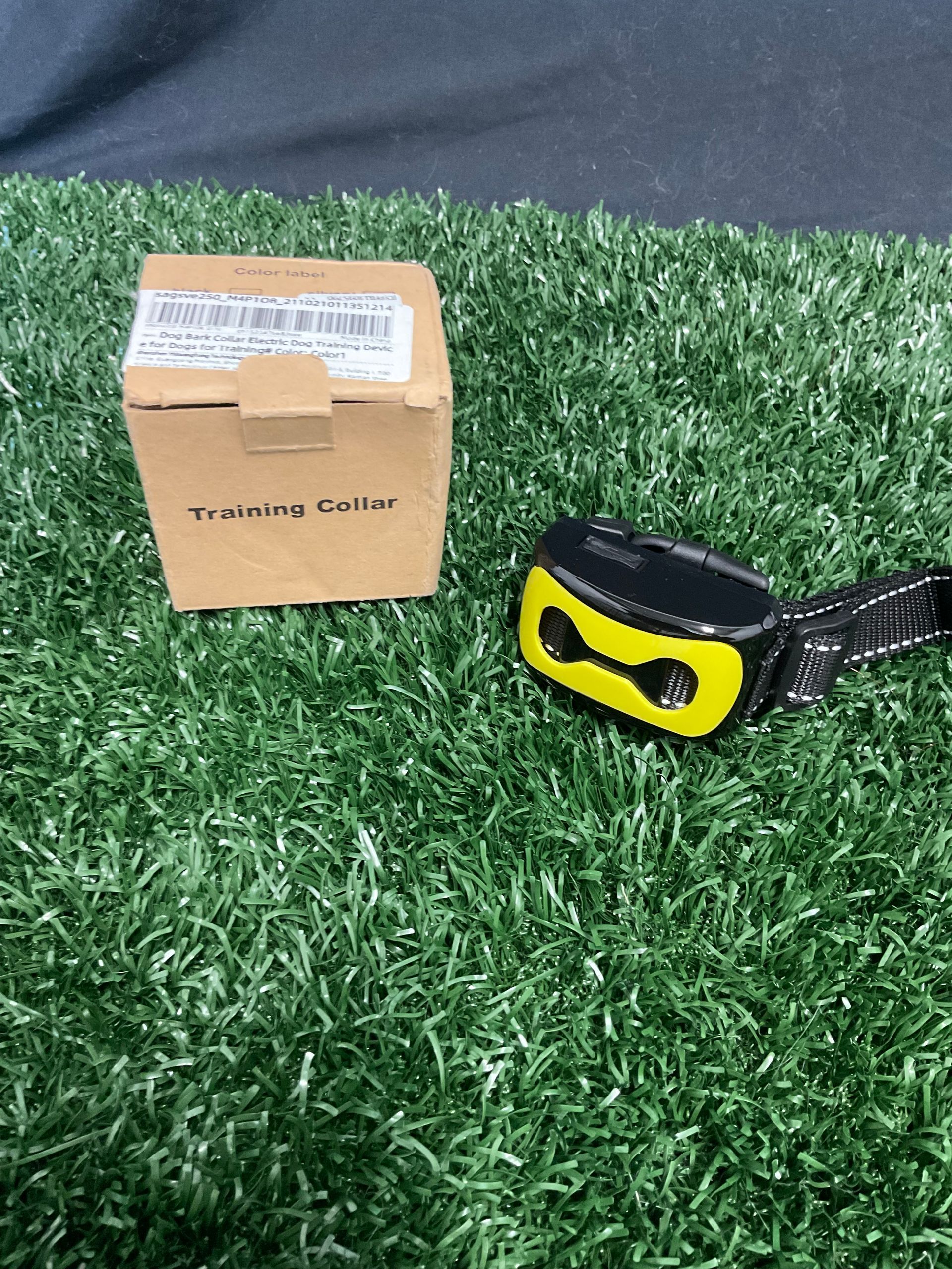 Training collar