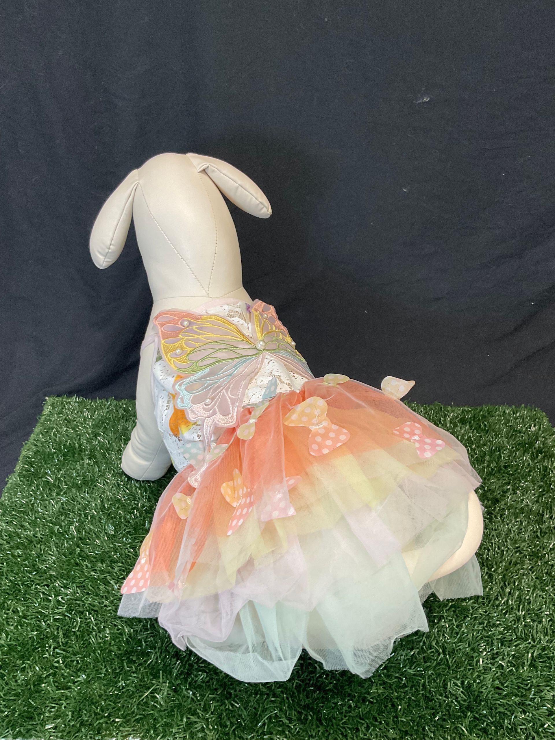 butterfly dress