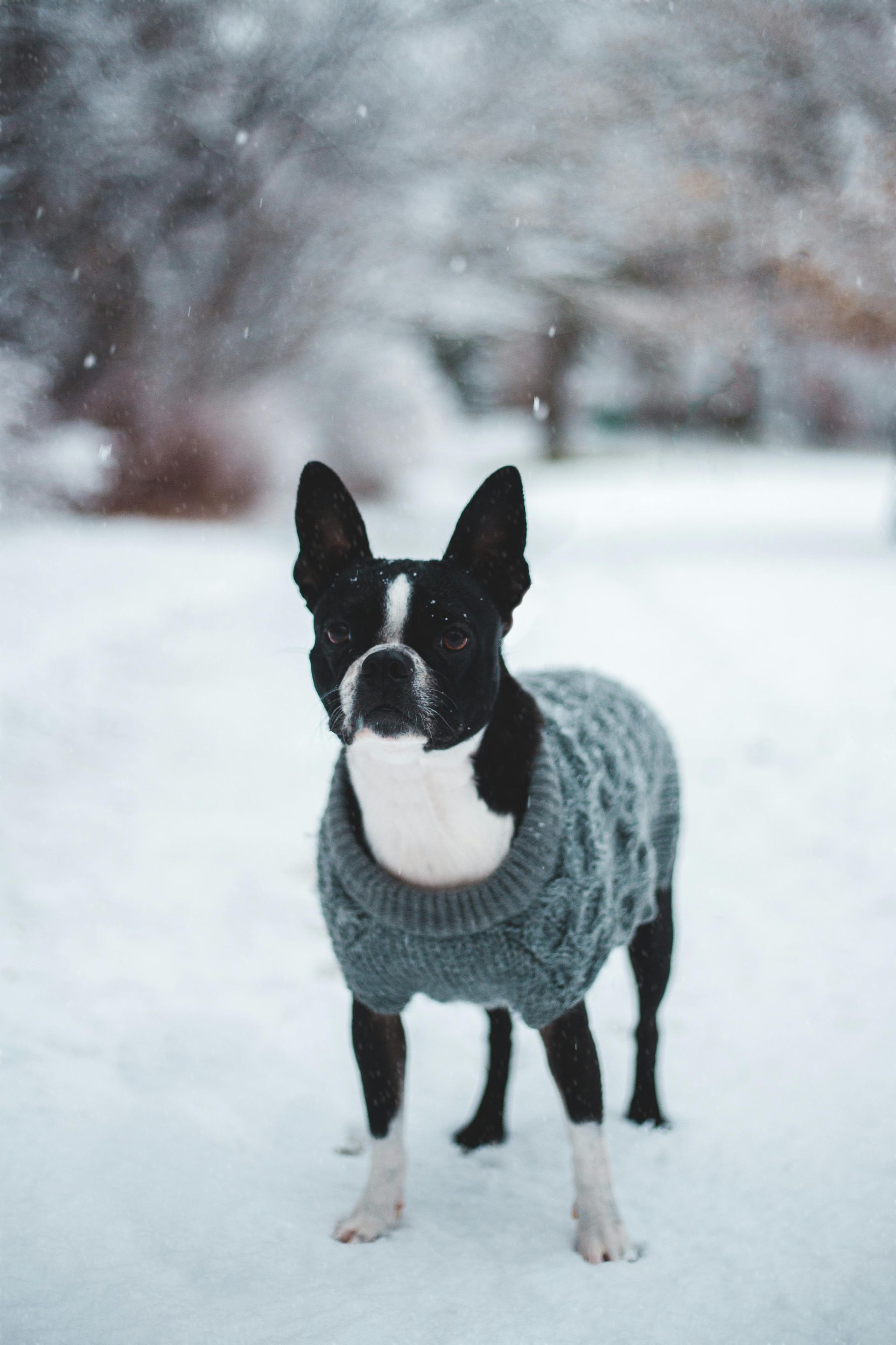 sweaters
