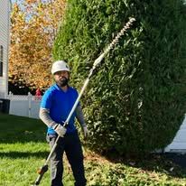 Man in blue shirt trimming a large green bush with a long-handled trimmer outdoors.