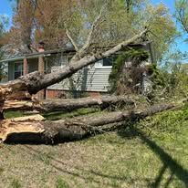 Fallen tree on a house roof after a storm, blocking a front porch, on a grassy lawn.