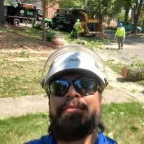 Person in safety helmet and sunglasses, trees, yard, and landscaping equipment.