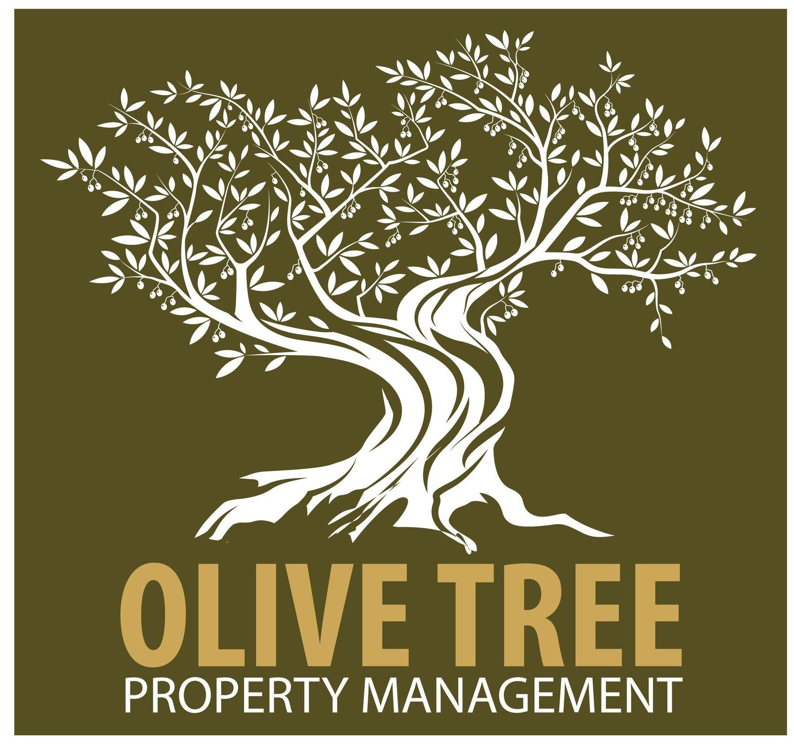 Olive Tree Property Management Logo - click to go home