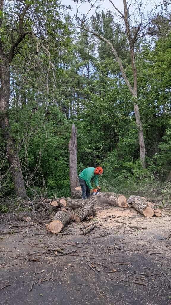 Worker in green shirt and orange hard hat cutting logs in a wooded area