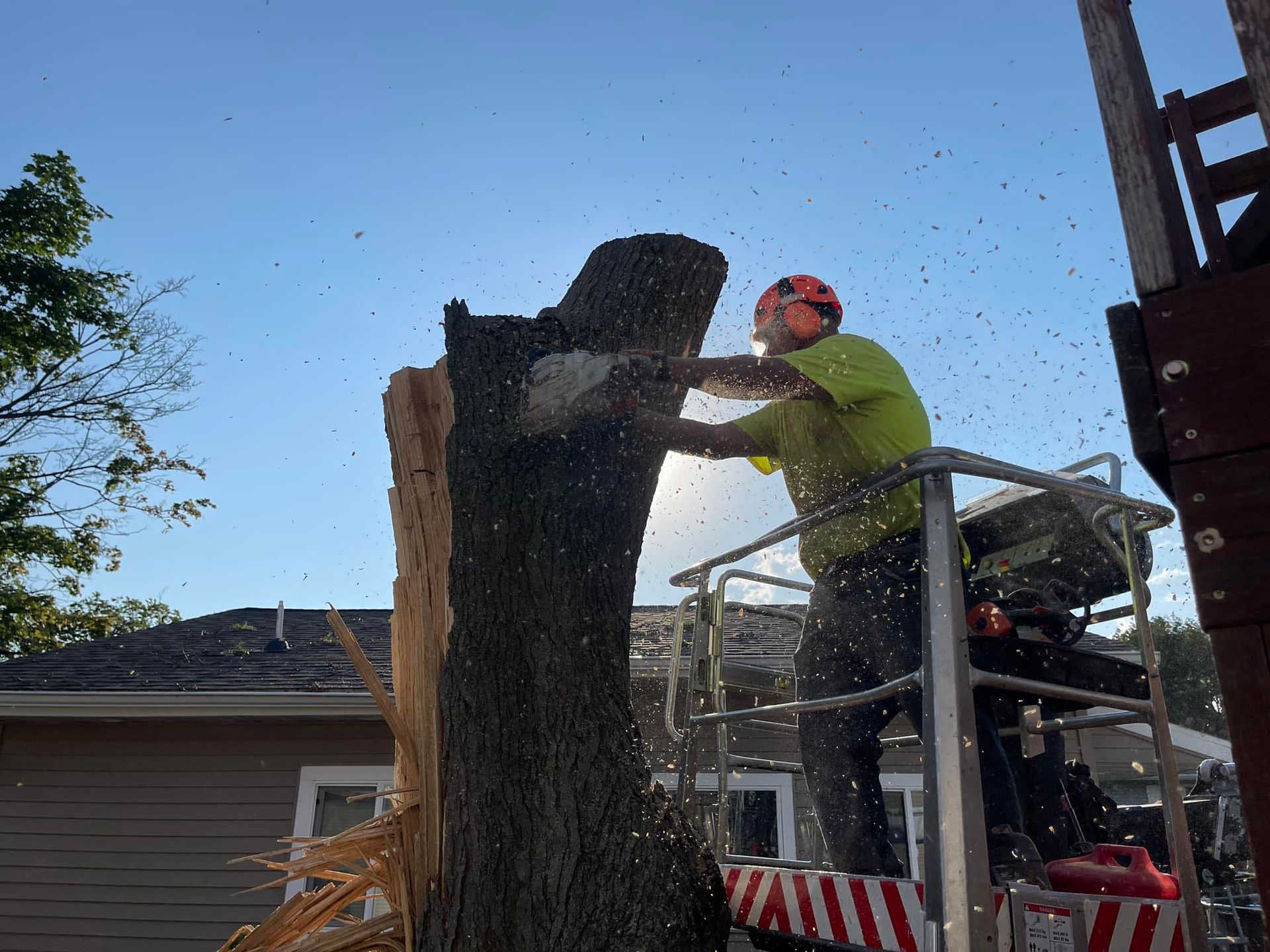 Worker in orange helmet trims a tree from a lift, with wood chips flying outdoors.