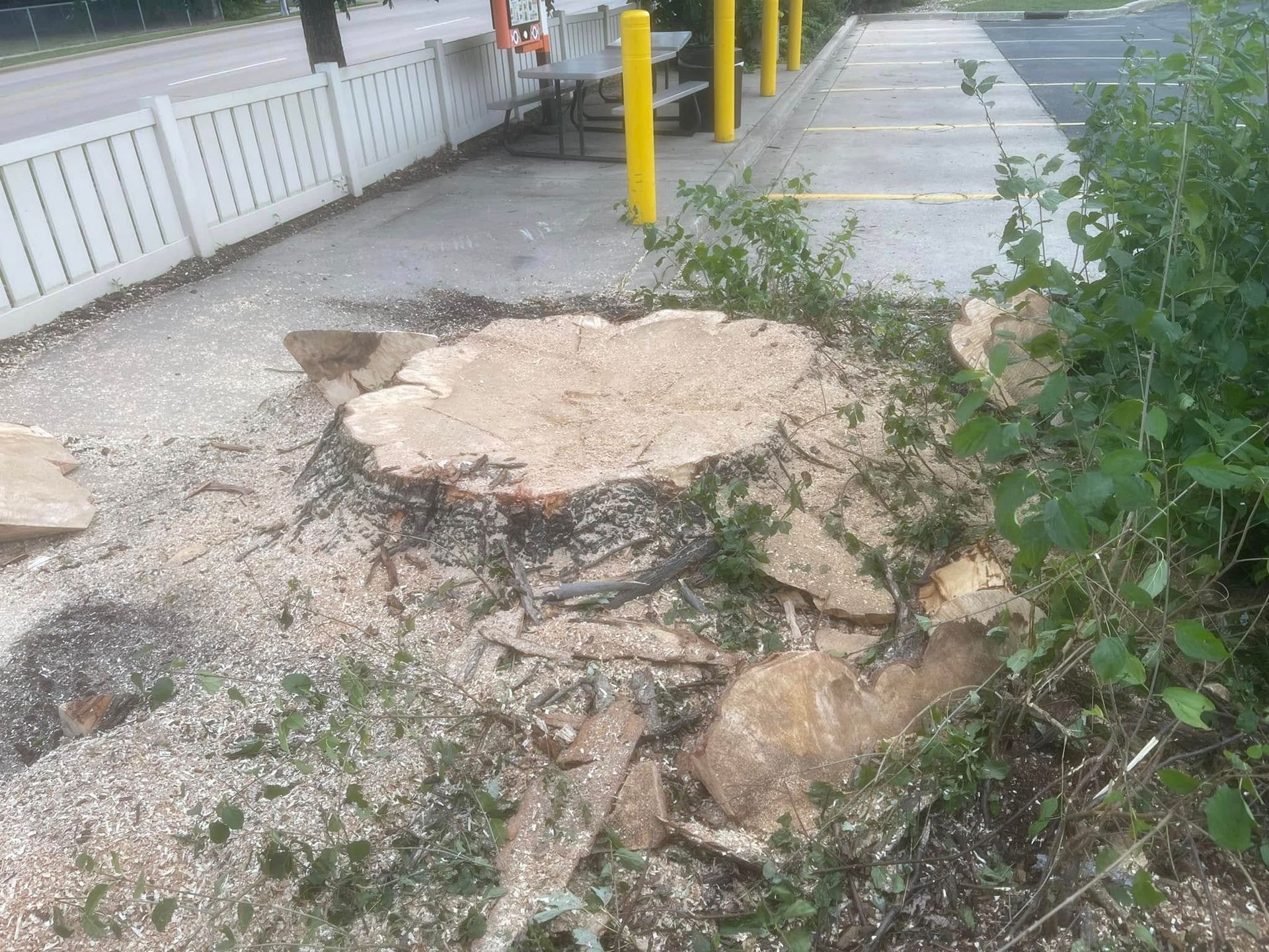Damaged sidewalk with a large broken hole and exposed concrete near a curb and yellow poles.