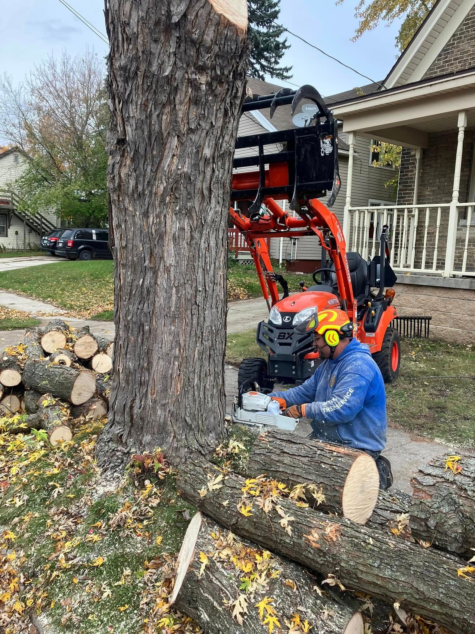 Worker using a chainsaw beside a large tree and fallen trunk near a house, with a skid steer nearby