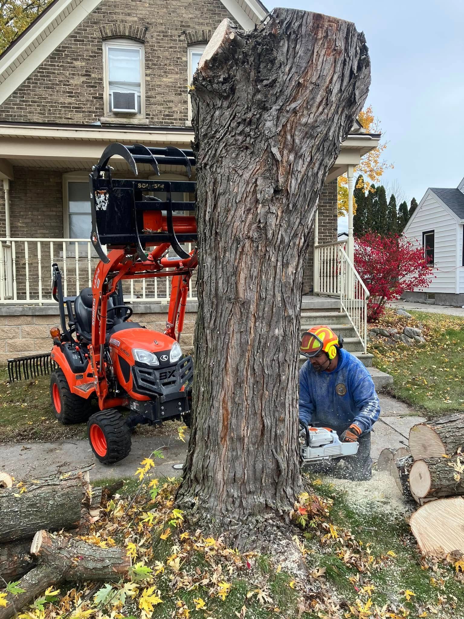 Tree stump being removed by a small excavator while a worker kneels nearby in a suburban yard