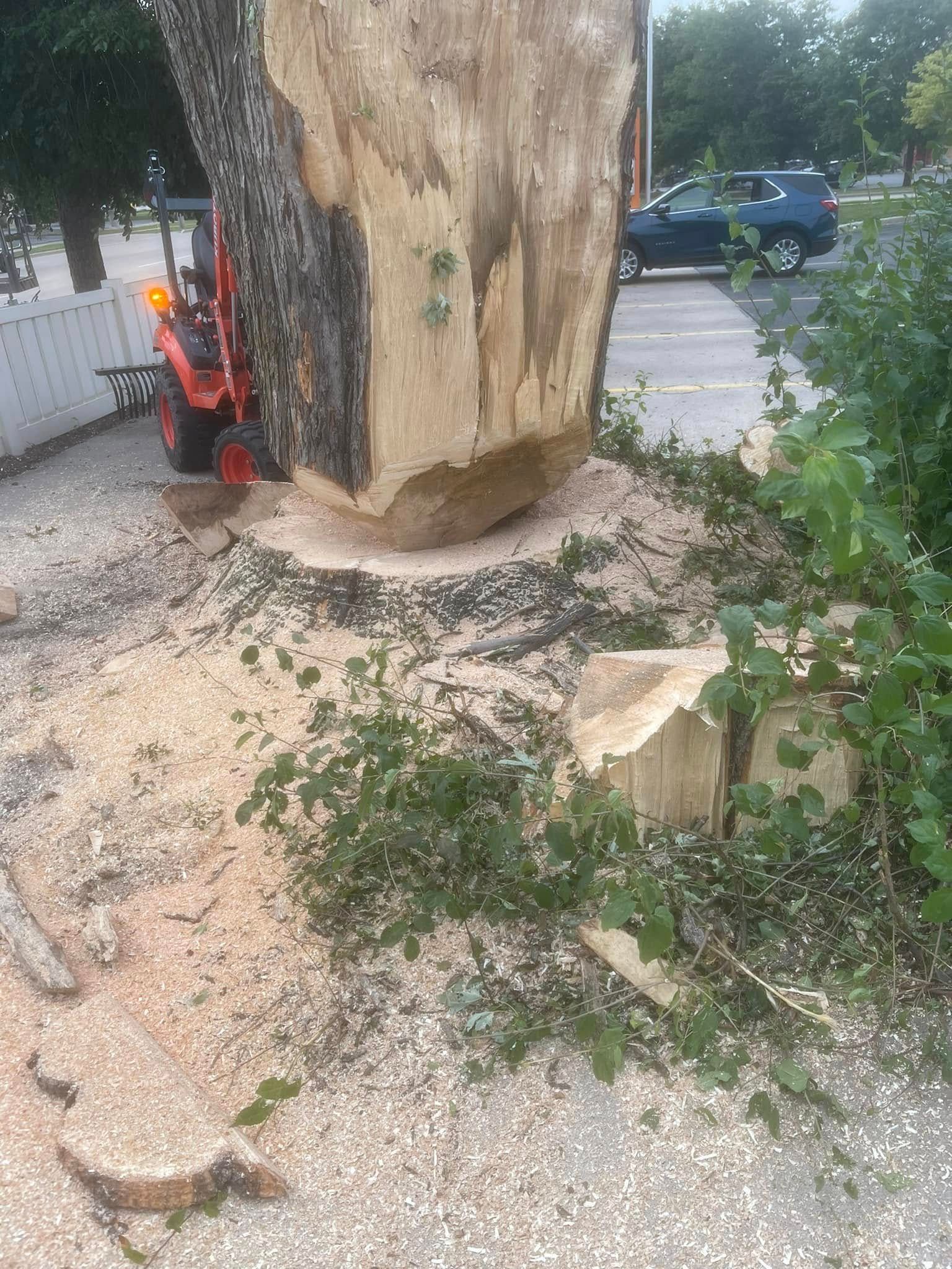 Large tree stump beside a sidewalk, with a small orange excavator and a cut log in a residential yard