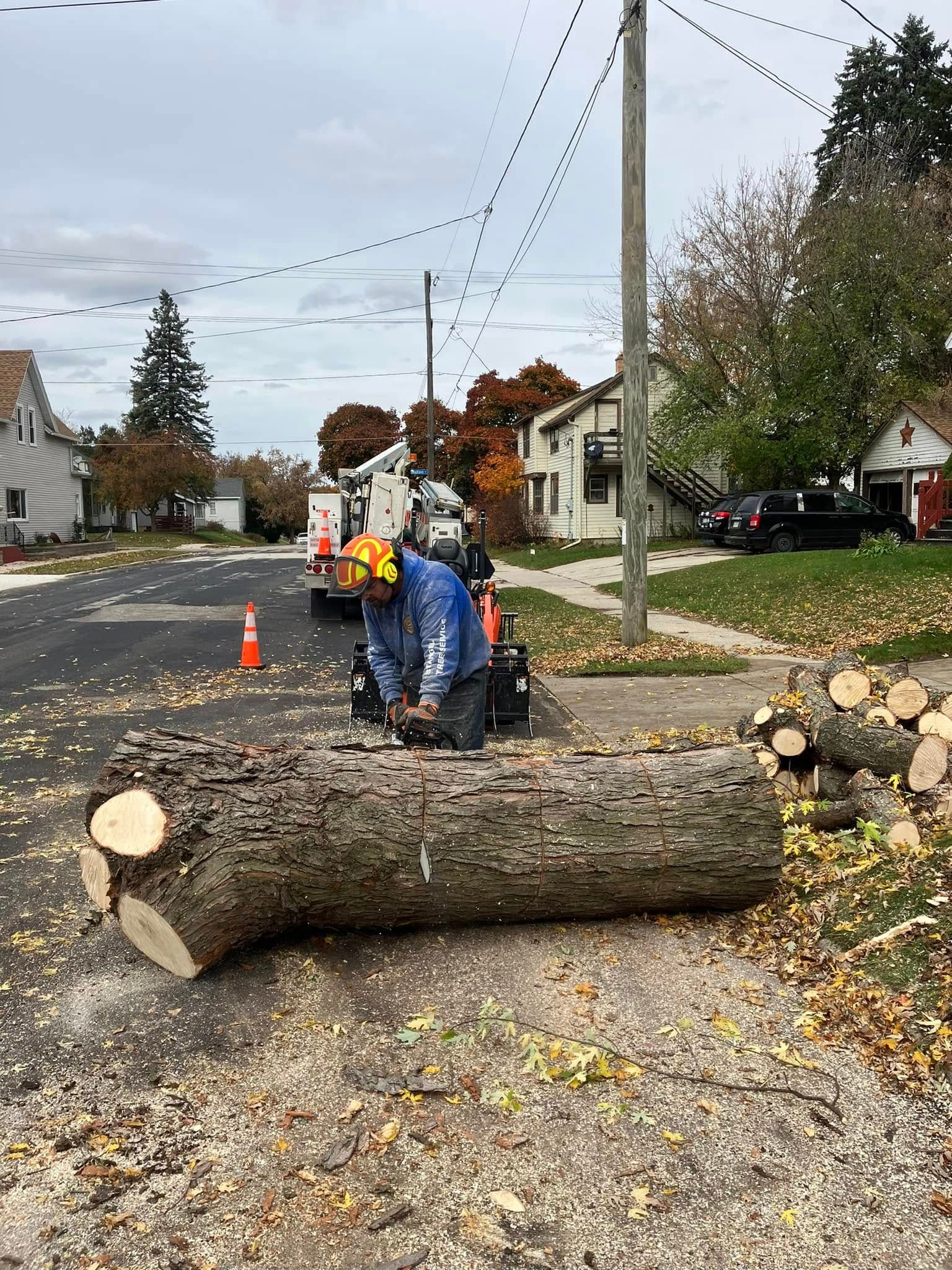Workers clearing a fallen tree trunk from a residential street, with cones and equipment nearby.