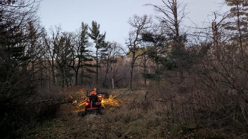 Person on a small tractor clearing brush in a wooded area at dusk, with bright sparks from the machine.