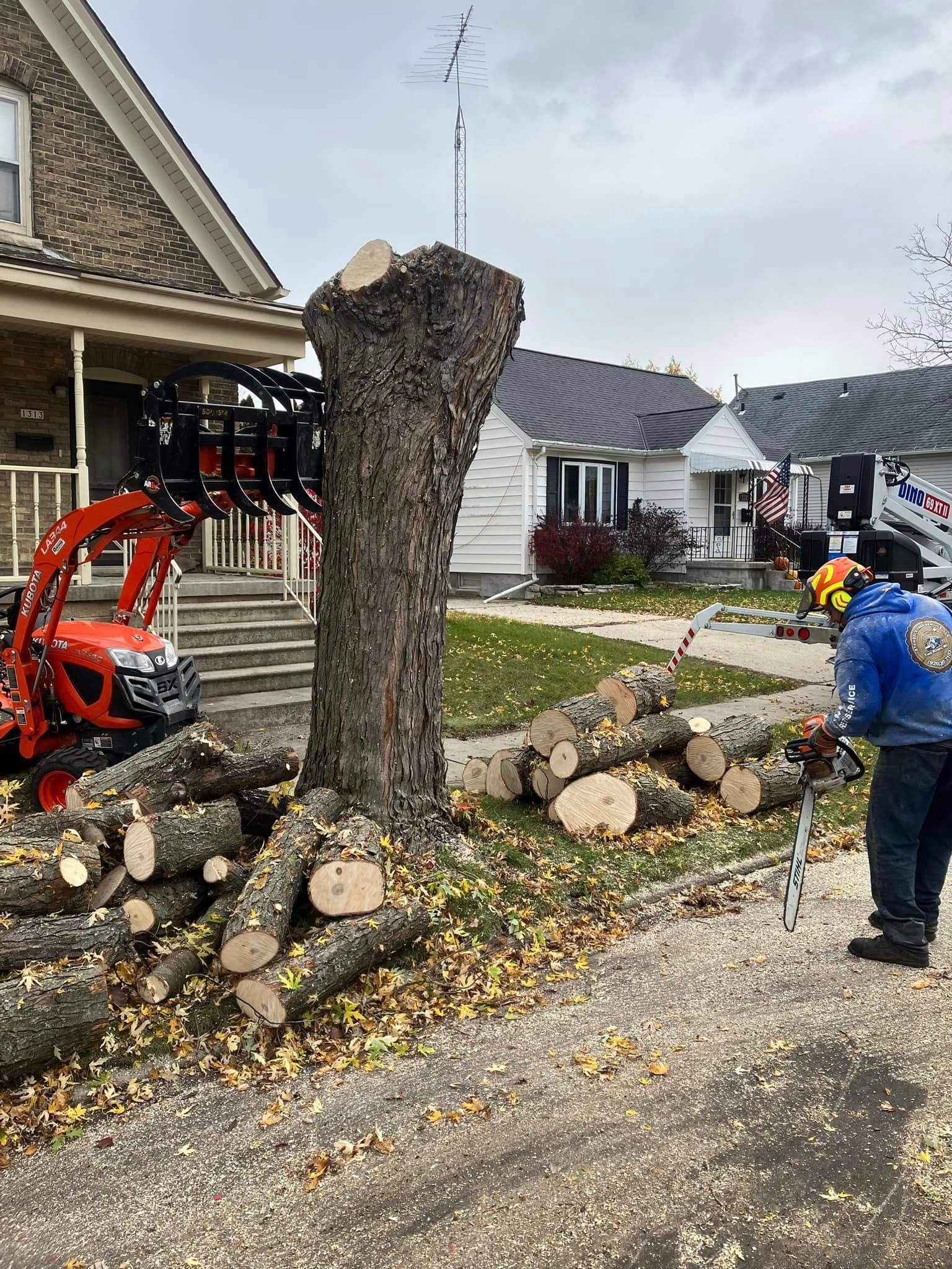 Tree stump being removed by workers with a red excavator in a residential driveway after storm damage