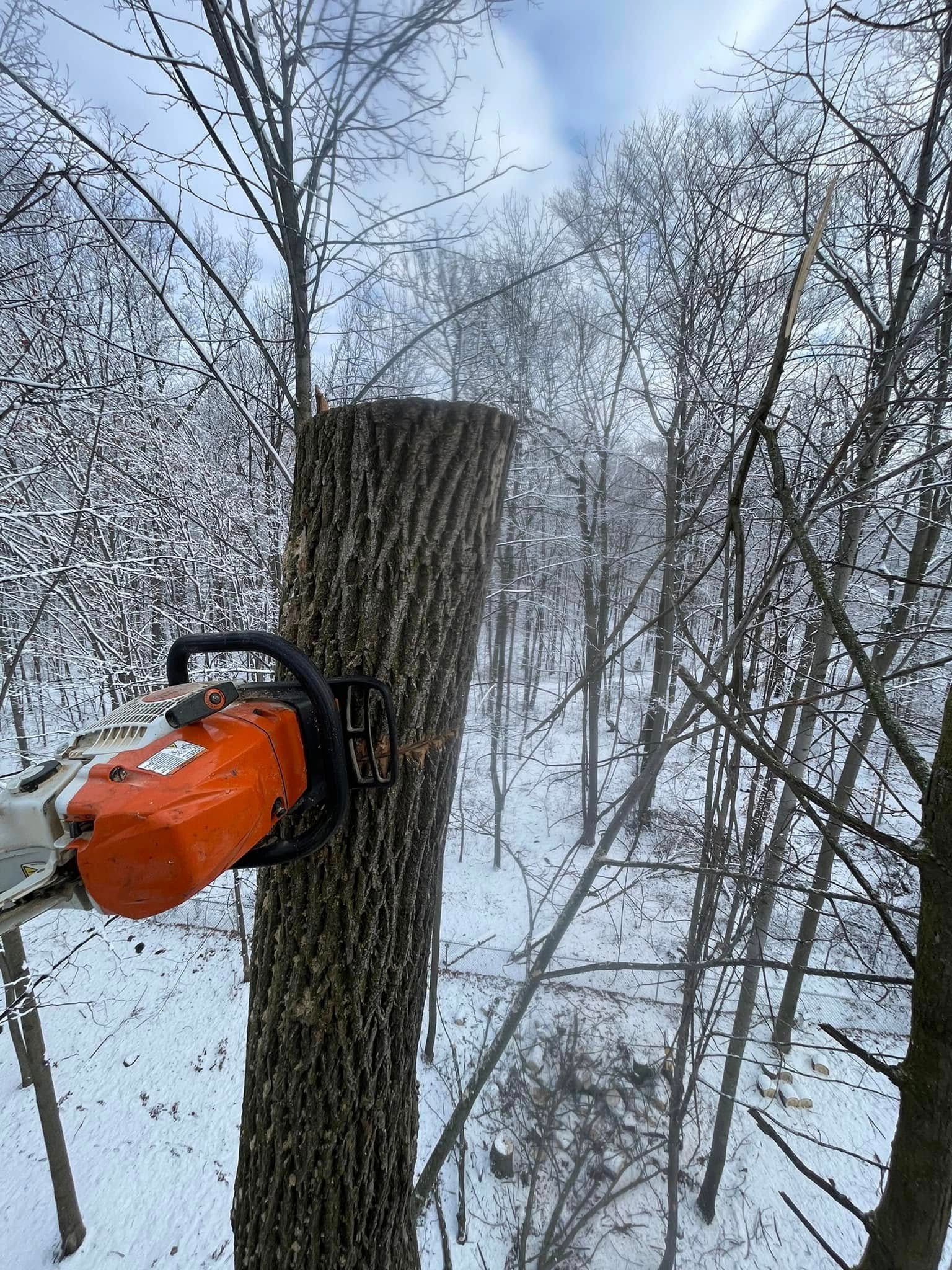 Orange chainsaw cutting into a tree trunk in a snowy wooded area