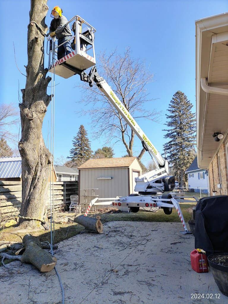 Worker in bucket lift trimming a large tree beside a house in a snowy yard