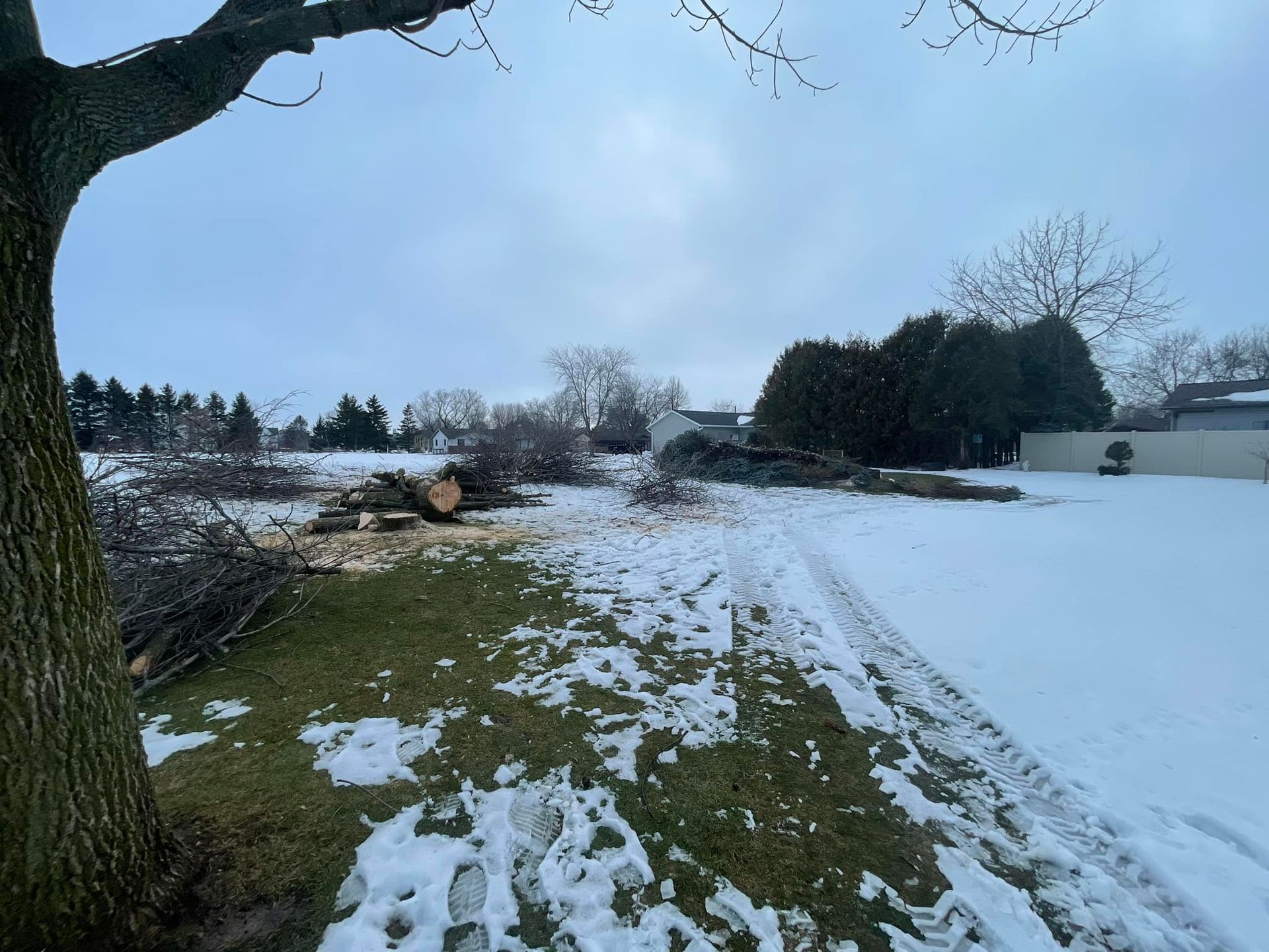 Snowy backyard with patchy grass, trees, and a cloudy winter sky