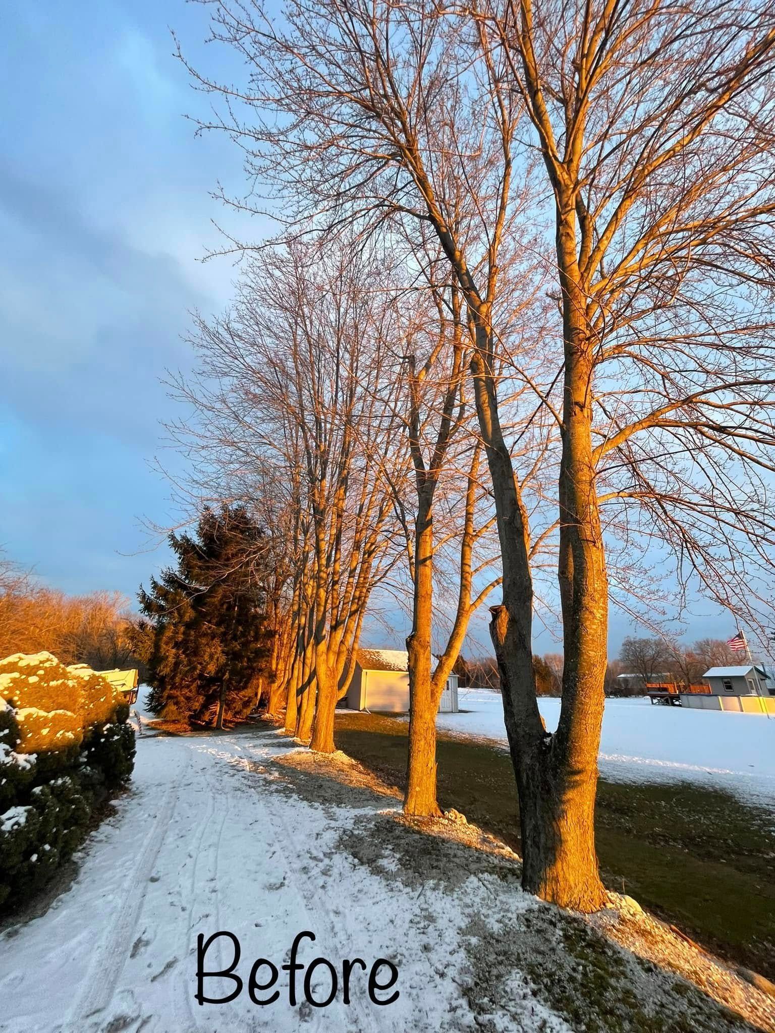 Snowy path with bare trees at sunset, labeled “Before”