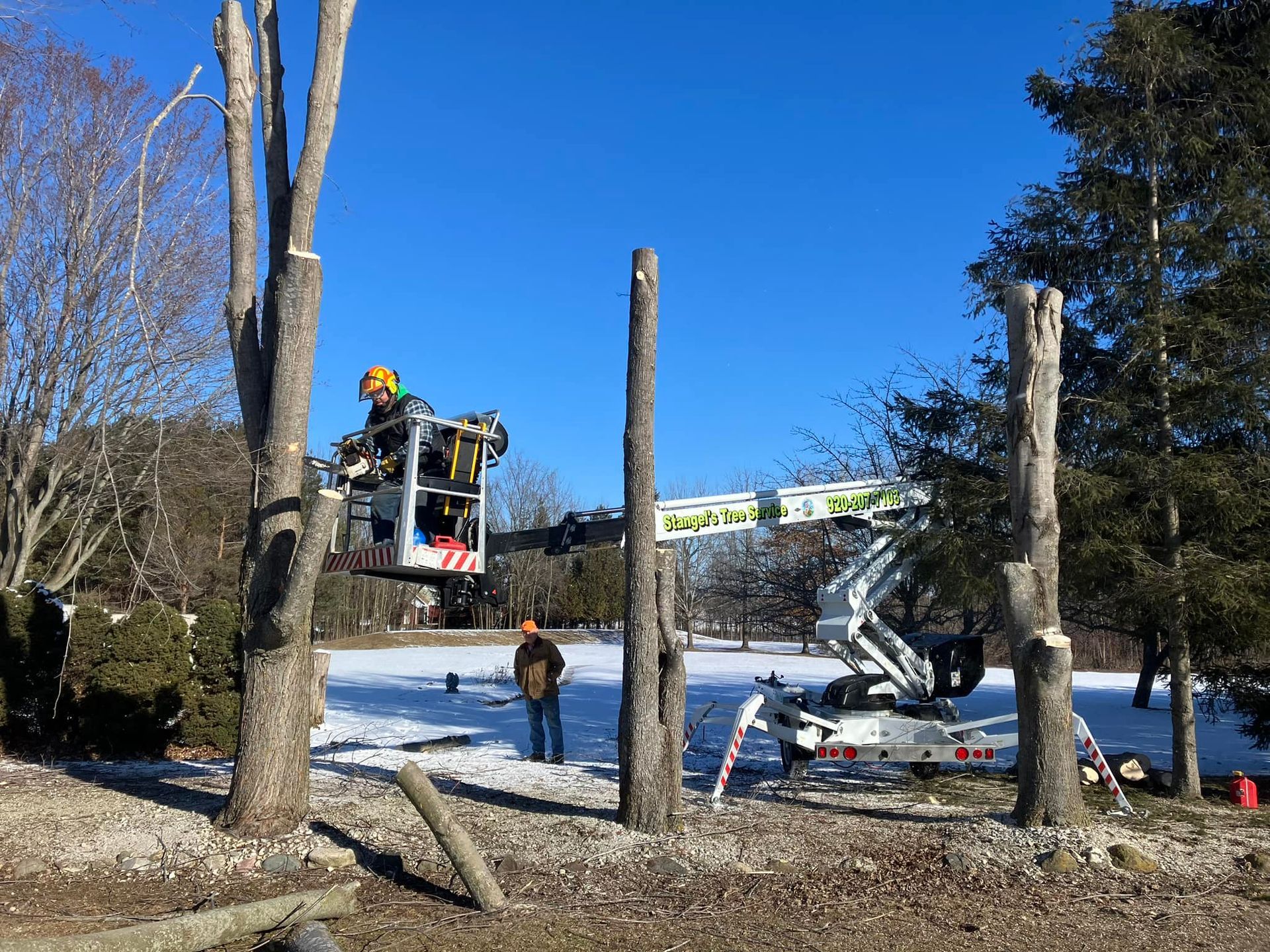 Tree removal work with bucket trucks and workers in a snowy yard under a clear blue sky
