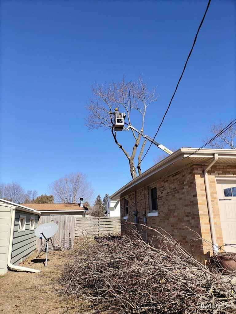 Tree service worker in a bucket lift pruning a tree beside a brick house on a sunny day