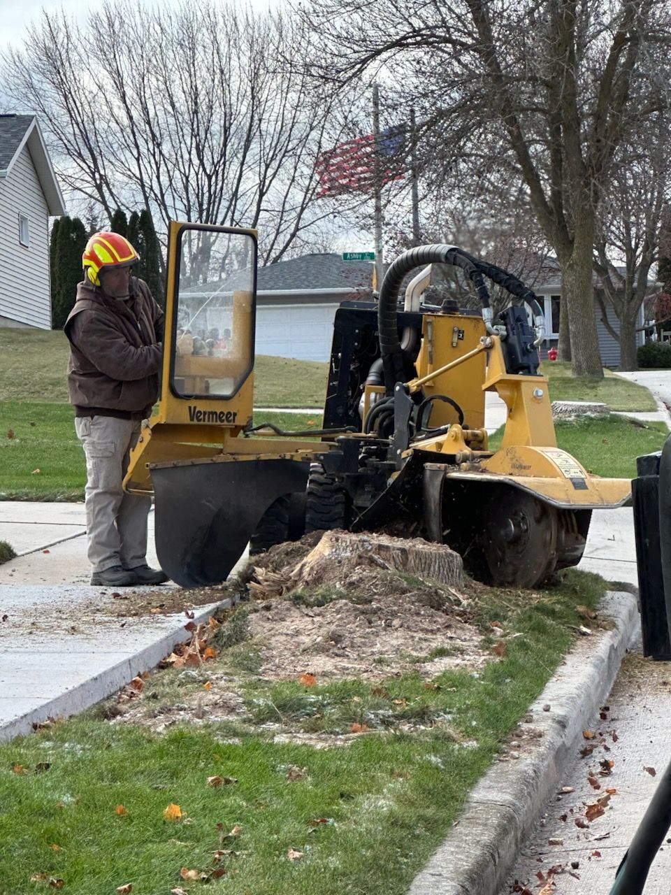 Worker operating a yellow stump grinder in a grassy yard, kicking up wood chips.