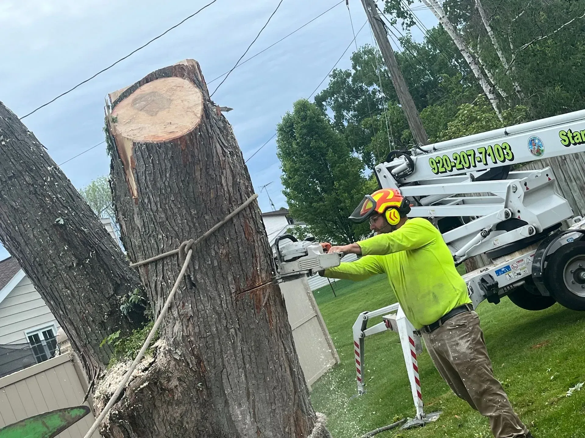 Worker in neon safety gear cutting a large tree trunk beside a utility truck in a yard