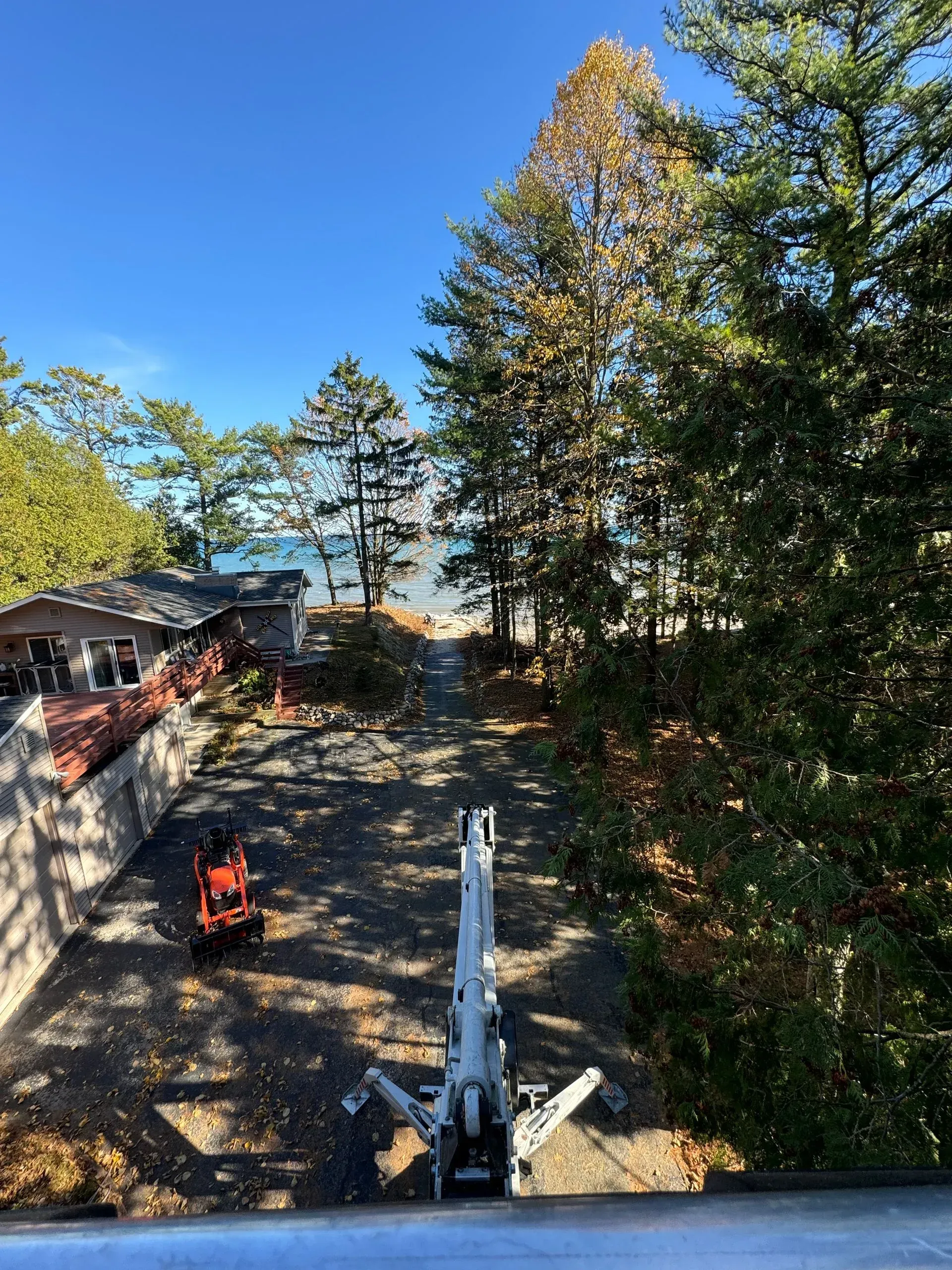 Construction machinery clearing a wooded yard beside a house under a clear blue sky