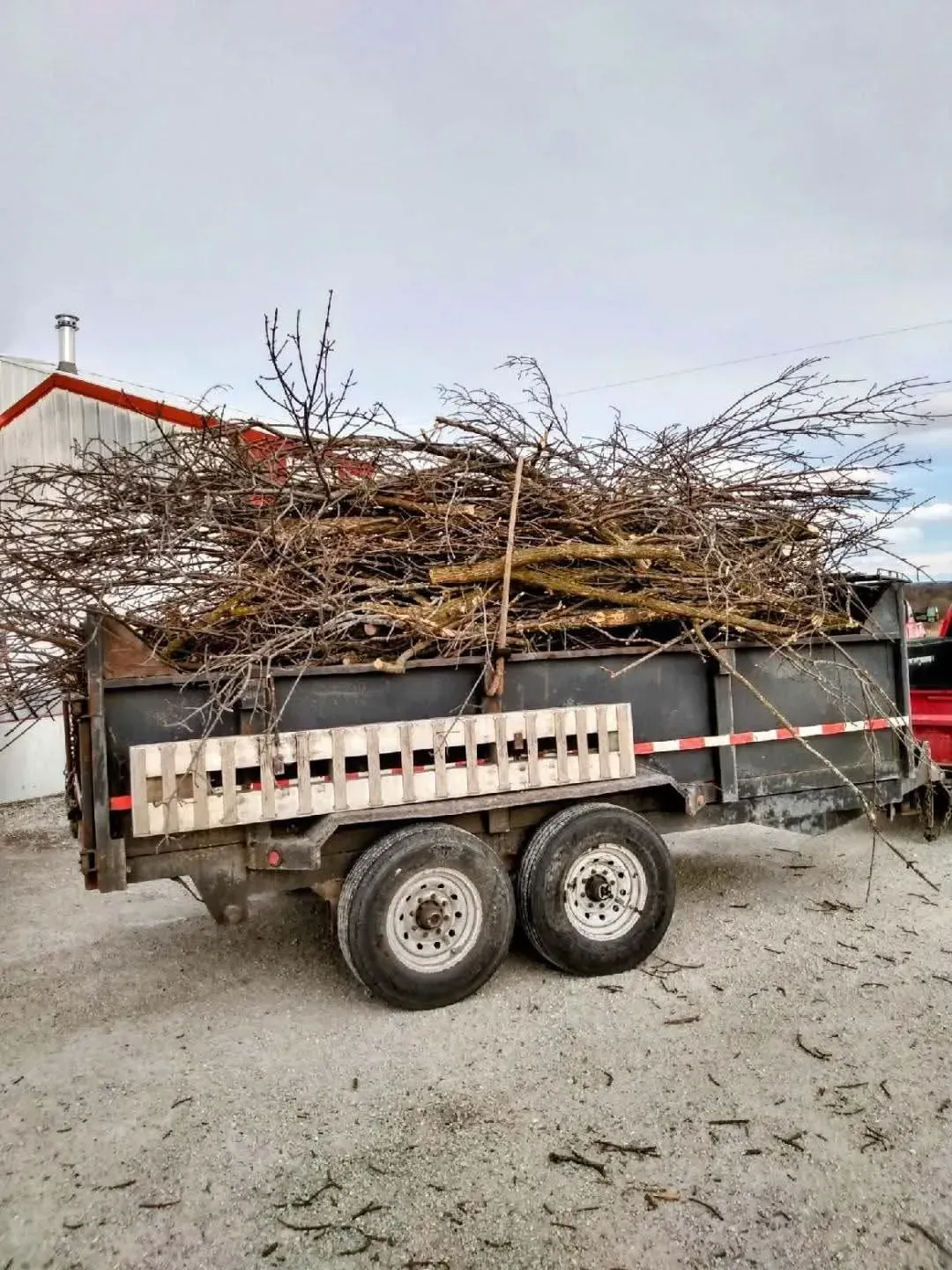 Two-axle trailer loaded with tangled tree branches in a gravel yard near a house