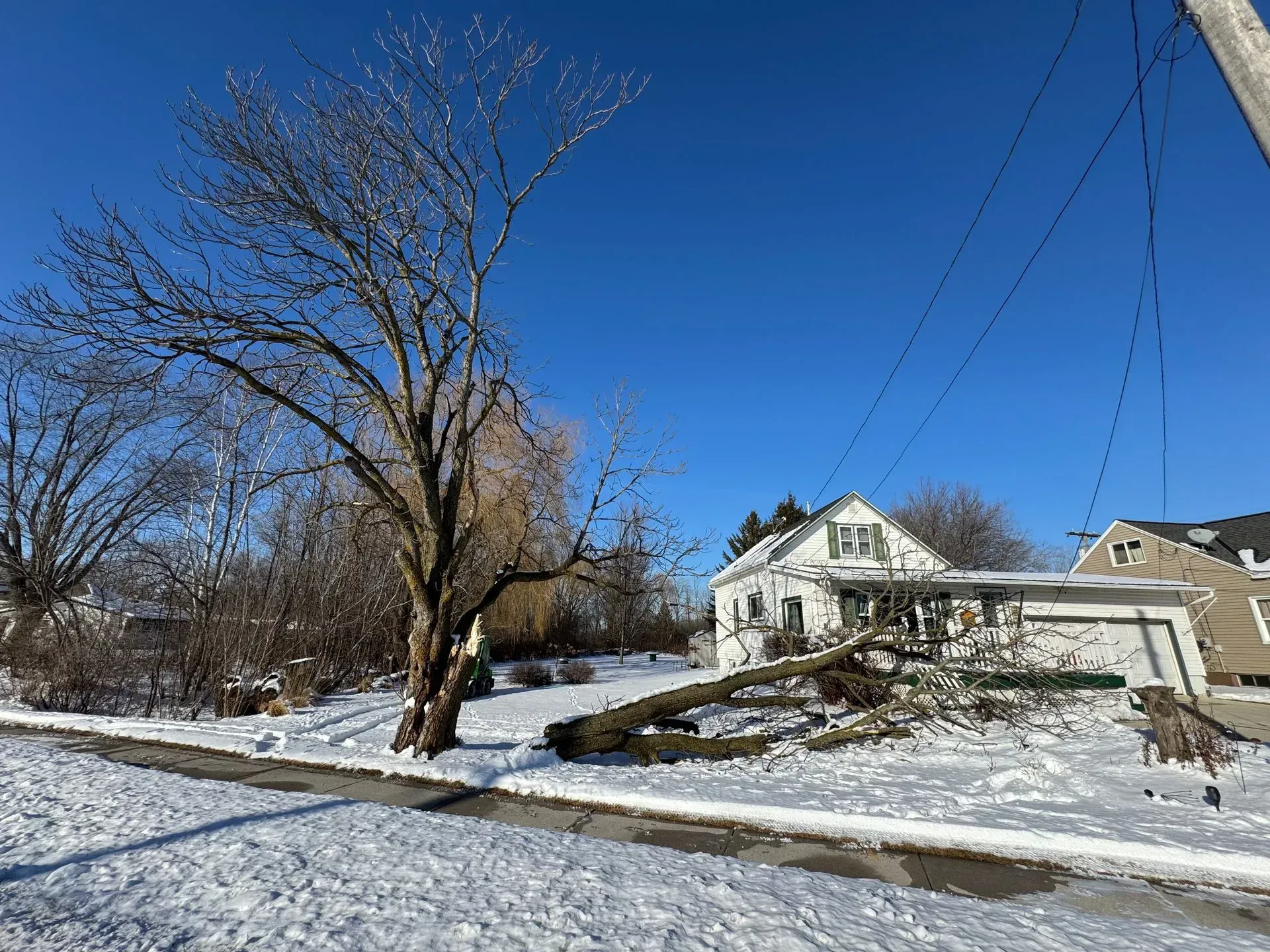 Snowy suburban street with bare trees and a white house under a clear blue sky