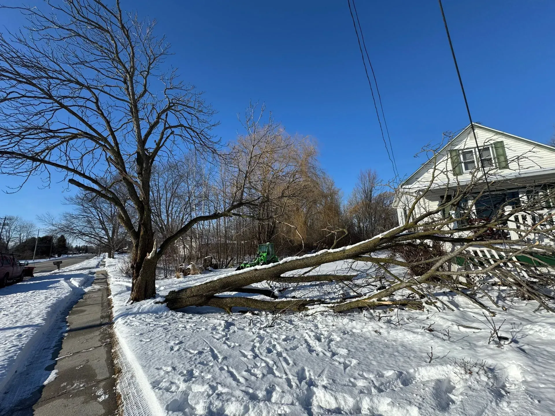 Snowy yard with a fallen tree blocking the sidewalk beside a house on a clear winter day
