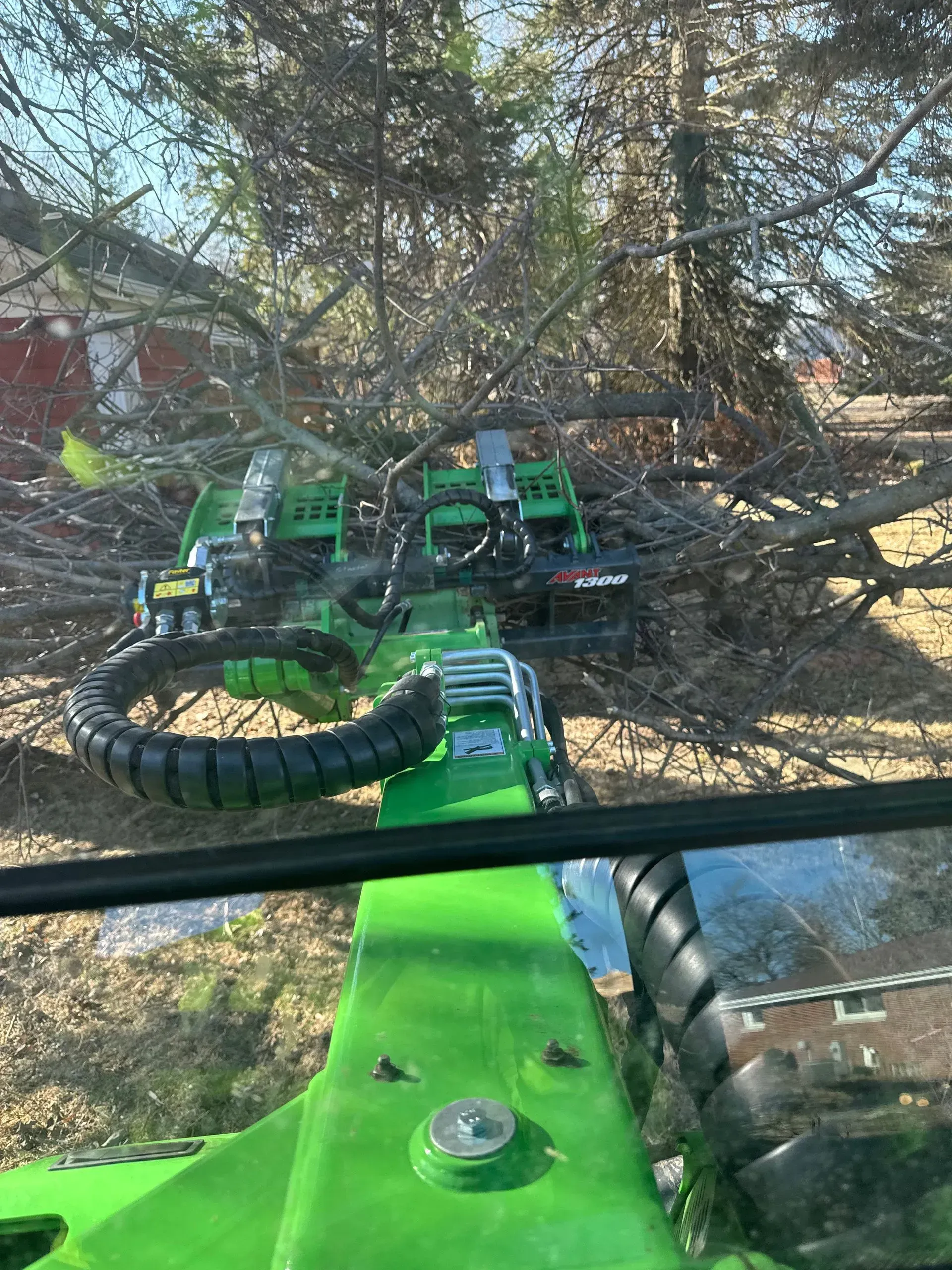 Green tractor-like machinery operating under dense tree branches in a wooded area