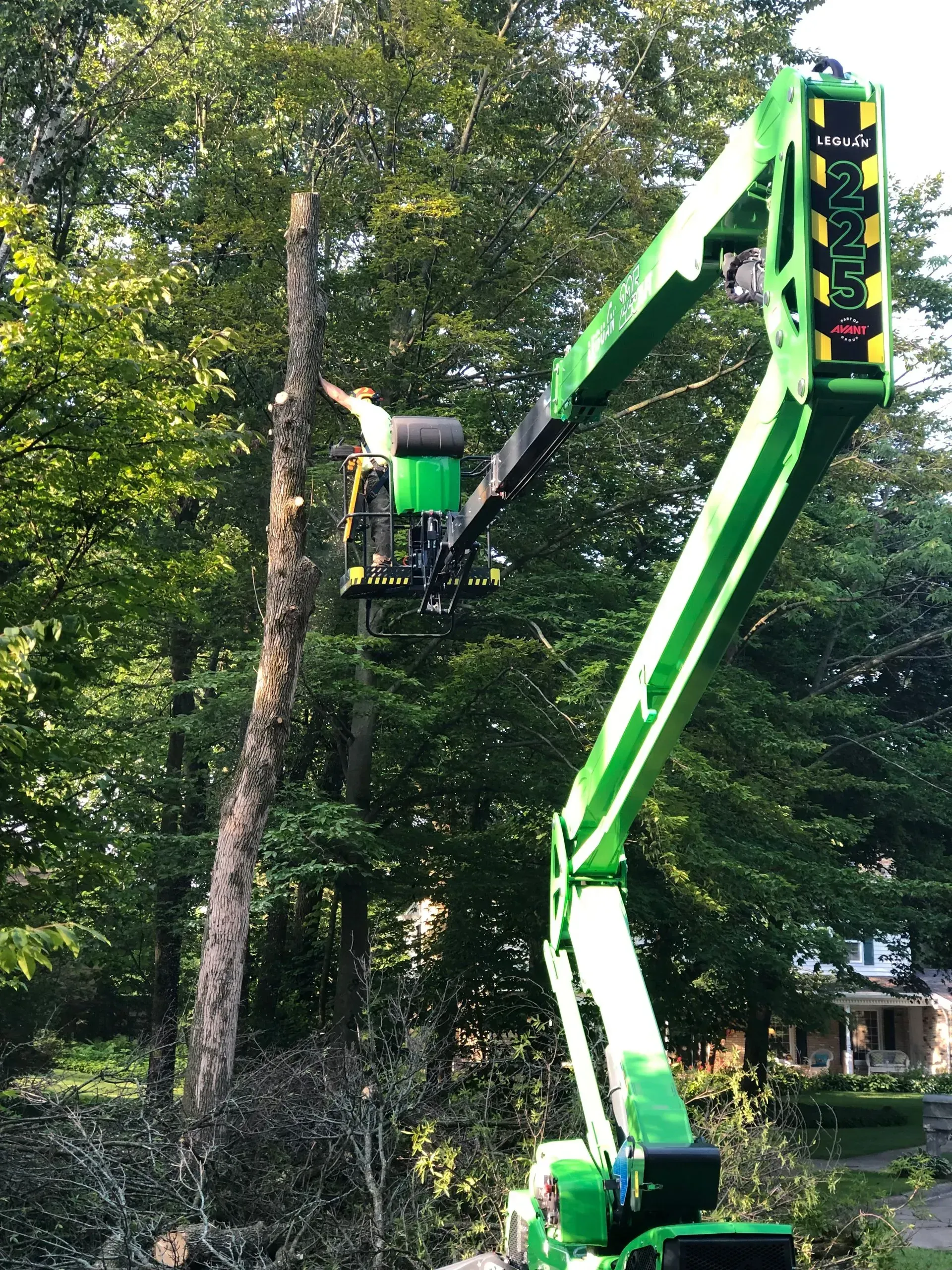 Green tree-trimming lift basket pruning a tree in a wooded yard