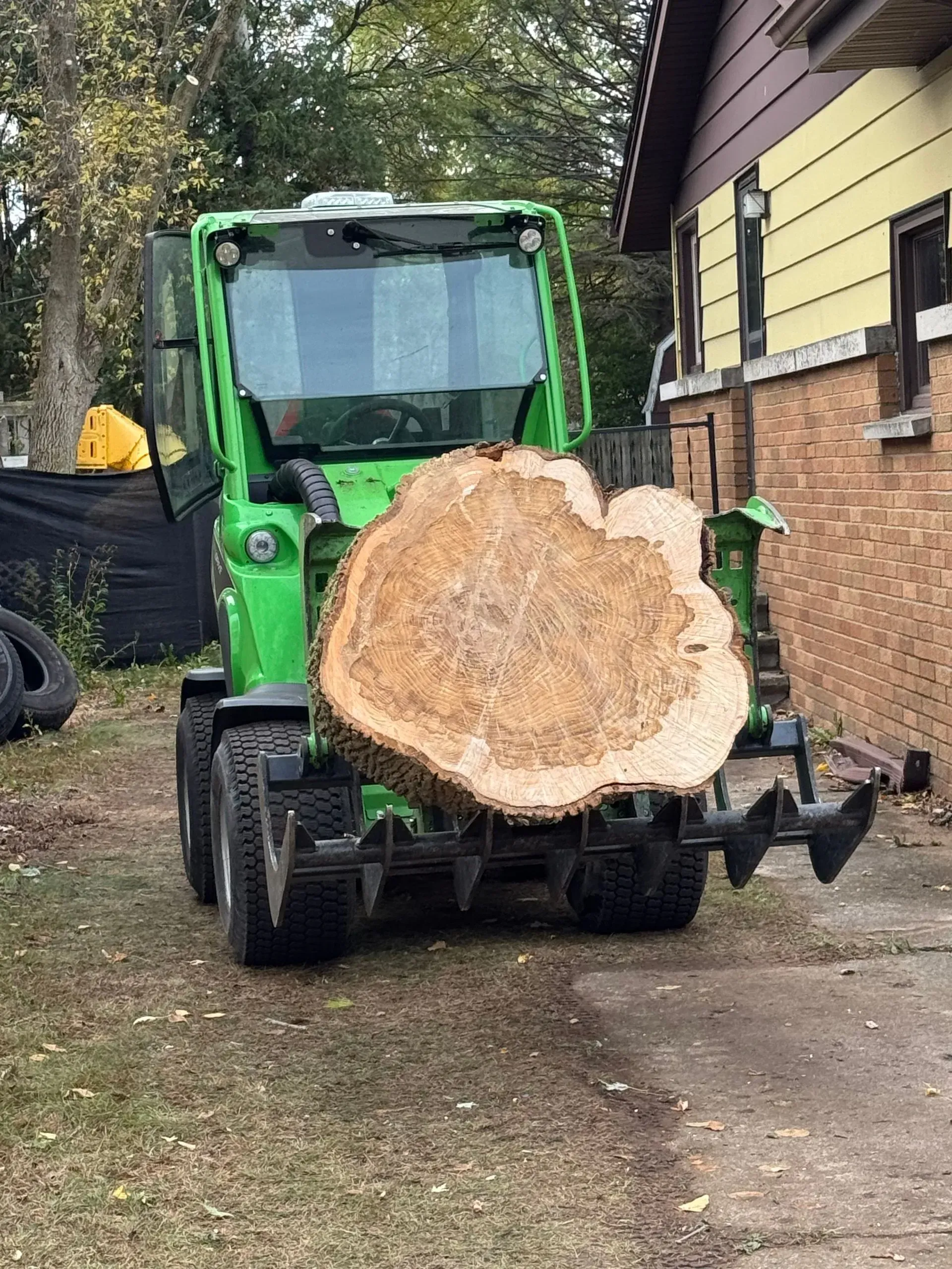 Green mini loader carrying a huge tree trunk in a yard beside a house