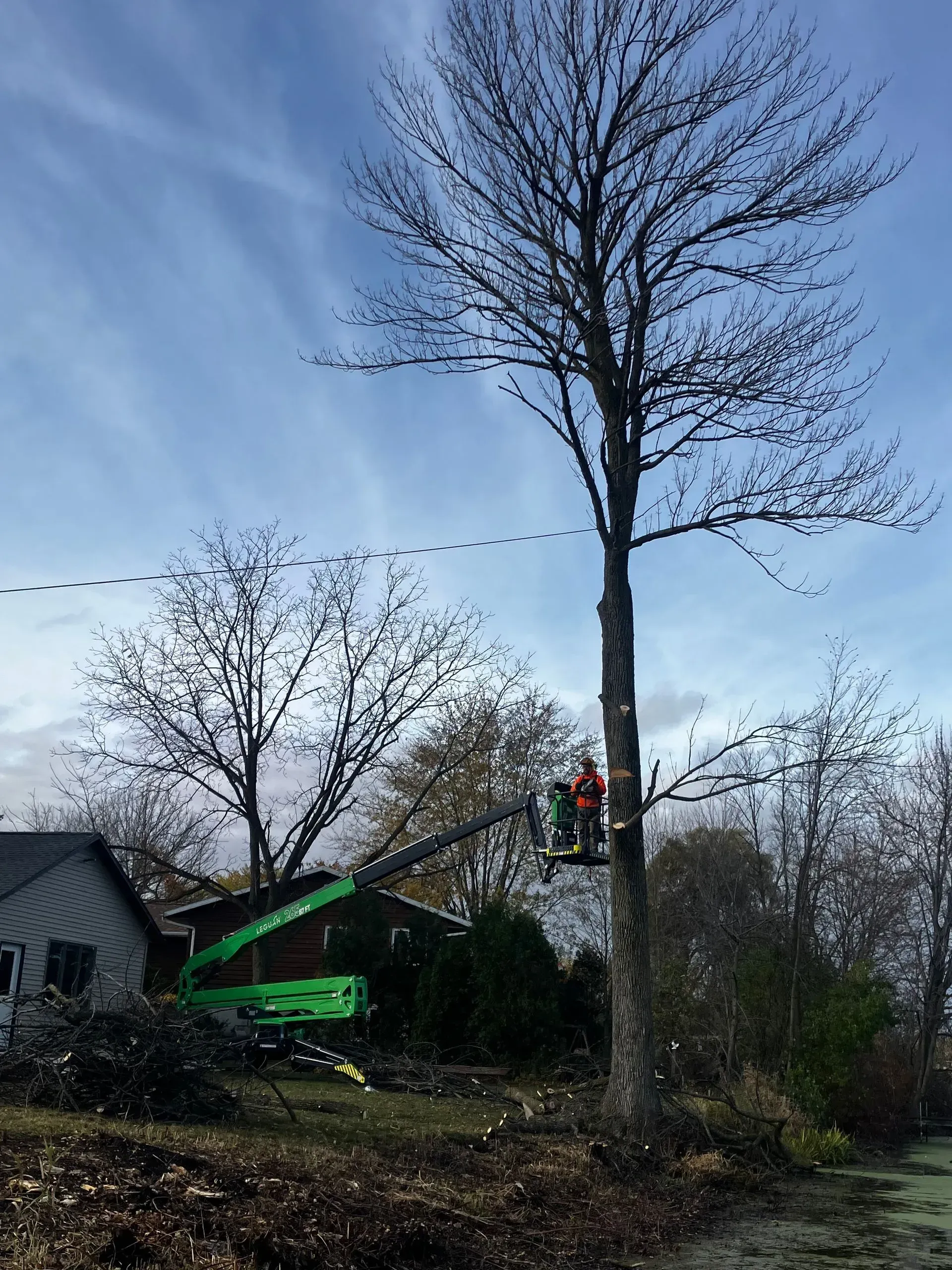 Tree trimming crew in a bucket lift cutting a tall tree beside a house and green cherry picker
