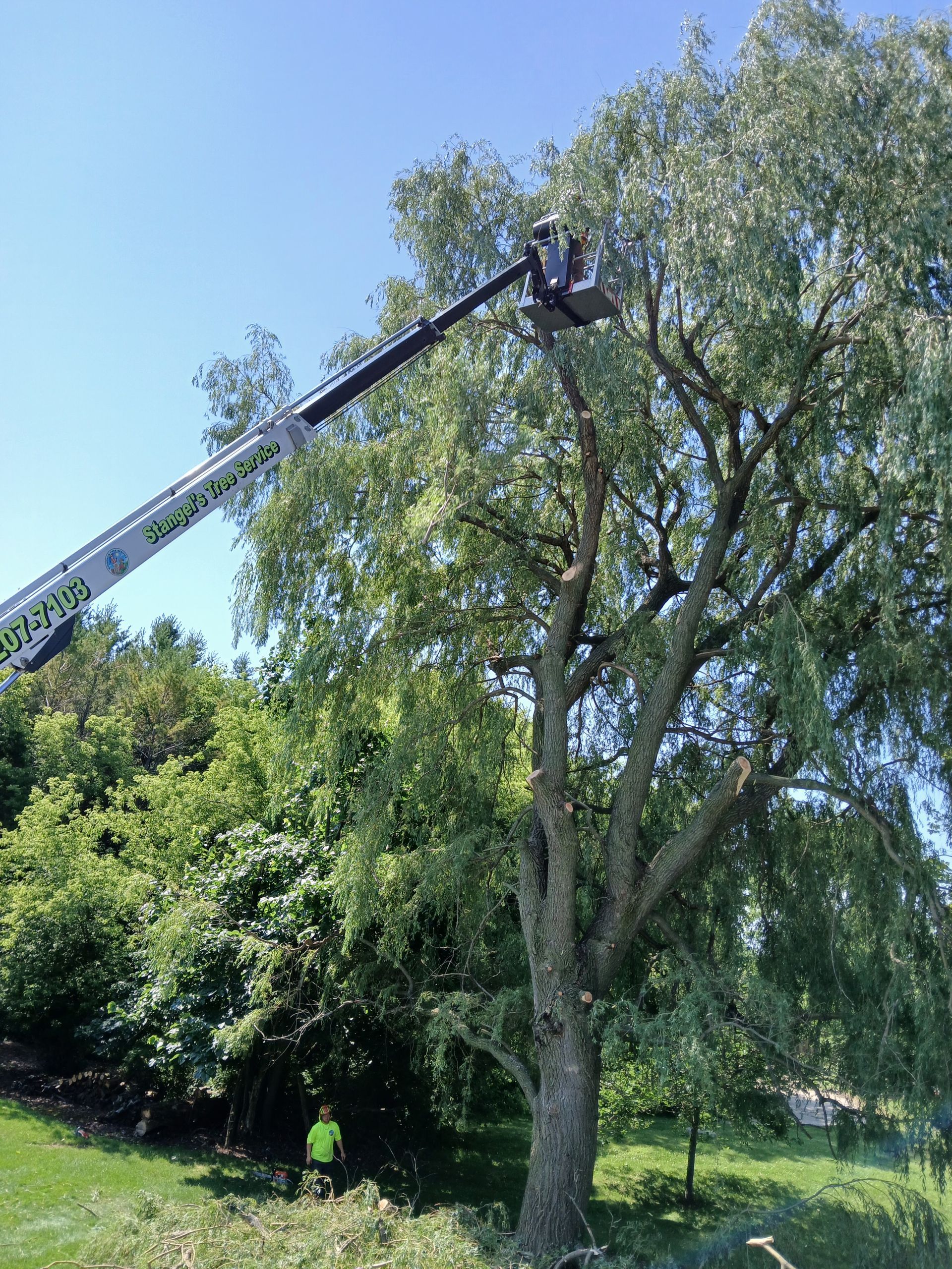 Tree trimmer suspended in a bucket above a brick house beside a backyard fence under a clear blue sky