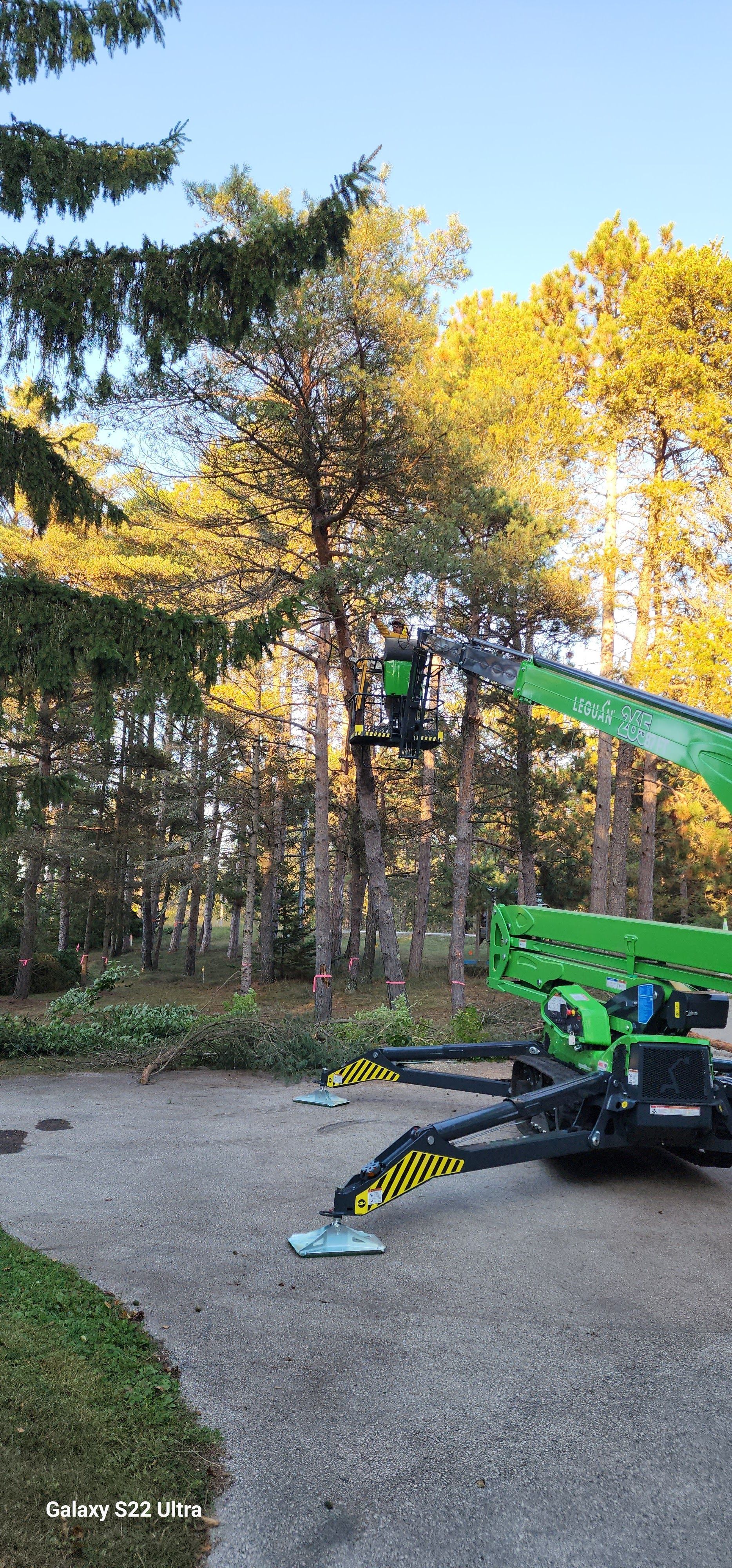 Worker in a lift trimming tall leafless trees on a sunny winter day