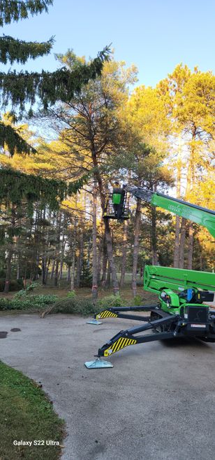 Green boom lift parked on gravel beside trees with yellow autumn leaves