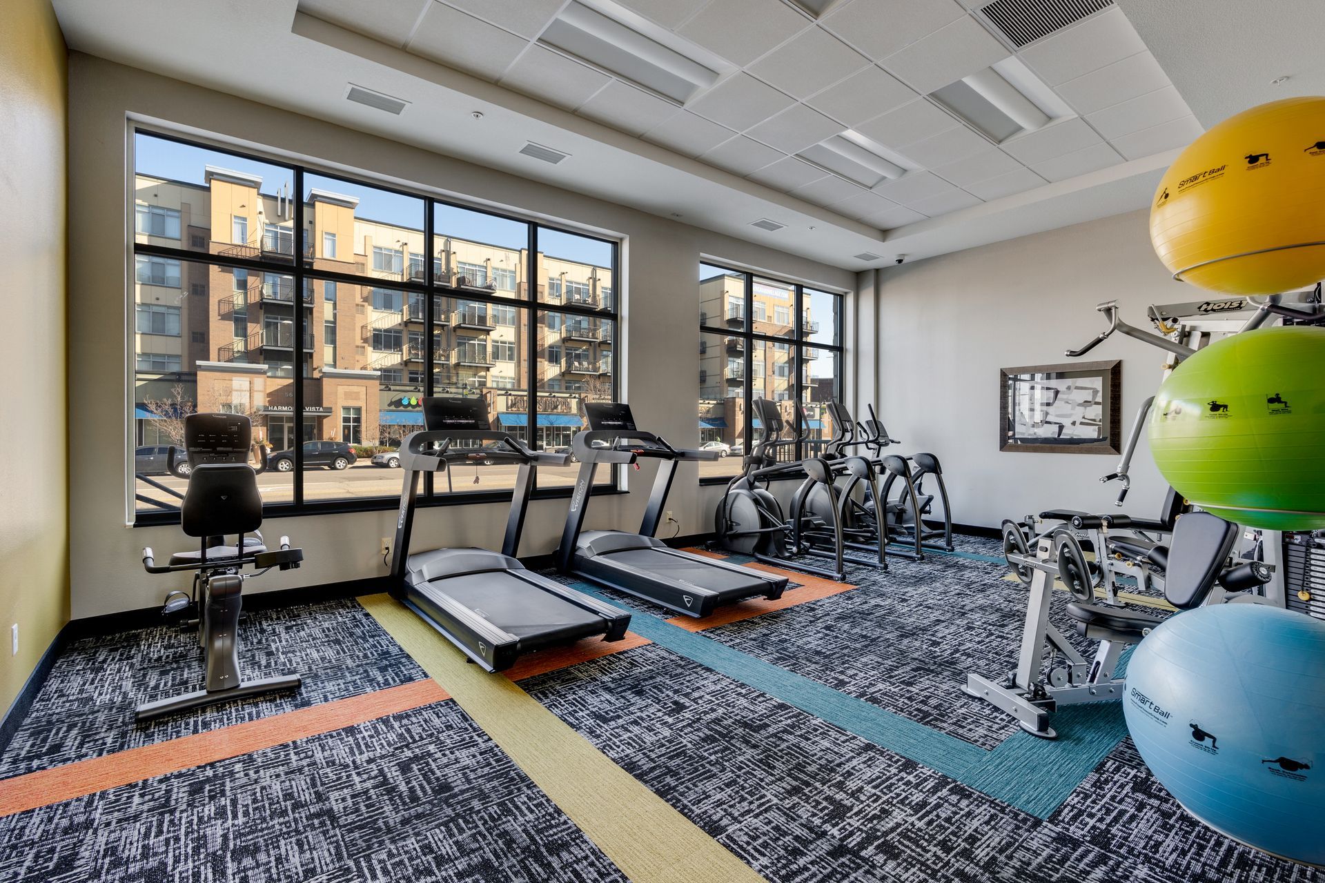 The Elmwood 55+ Active Living Community-St. Louis Park, MN