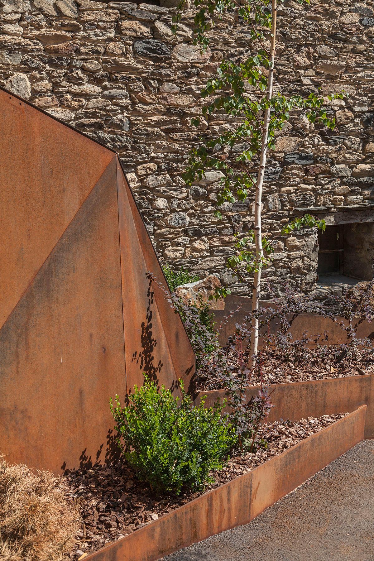 Un árbol crece en una maceta junto a un muro de piedra. Emfasi Estudi