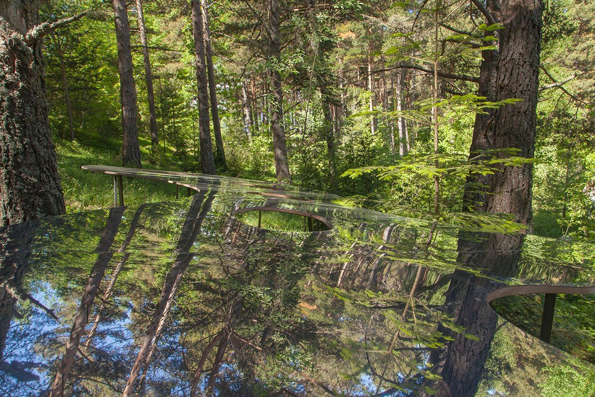 Fotografia Emfasi Estudi Andorra. Un reflejo de los árboles en una obra artística. 