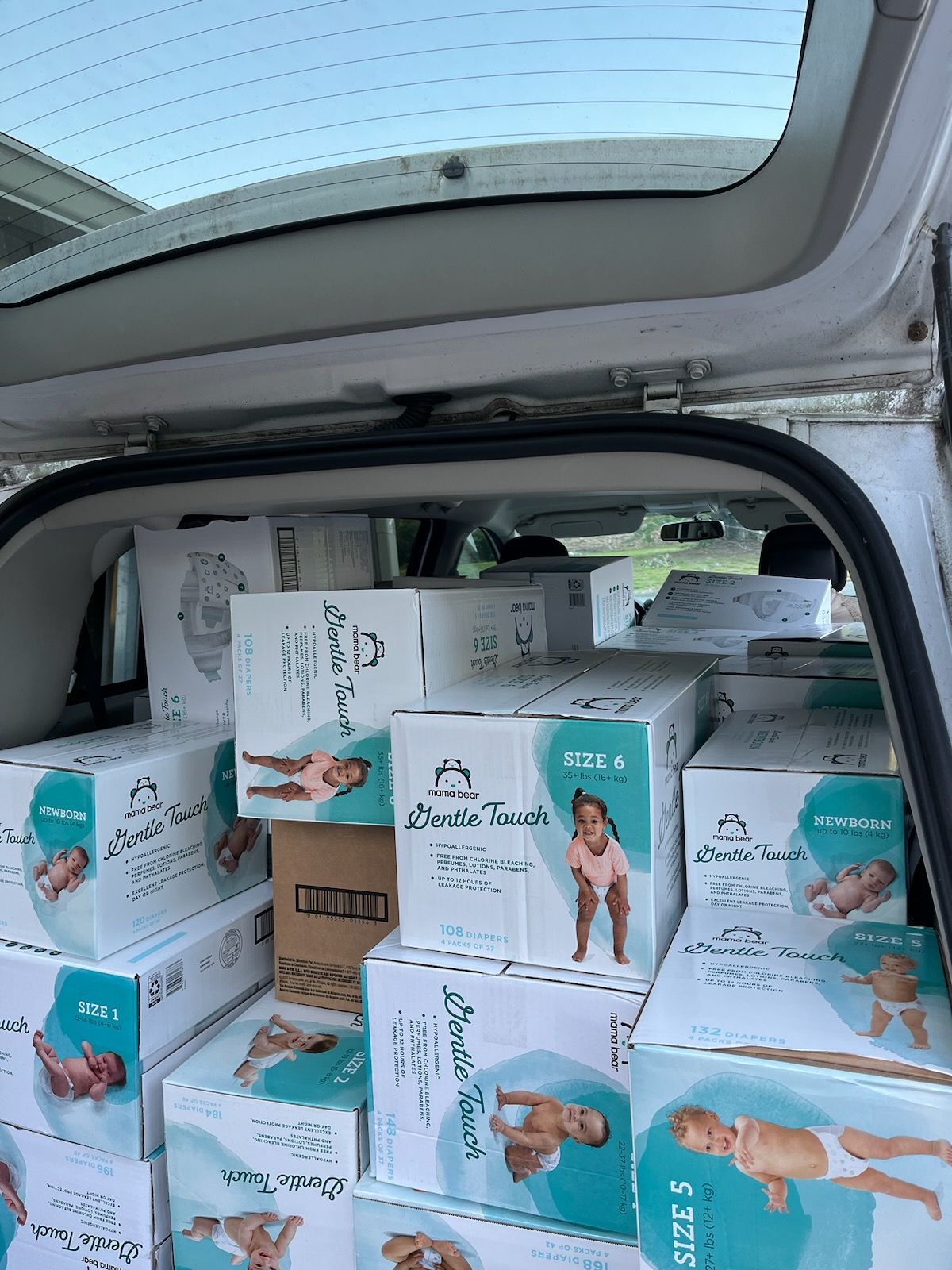 Open van packed with stacked pet product boxes, including dog and cat items.