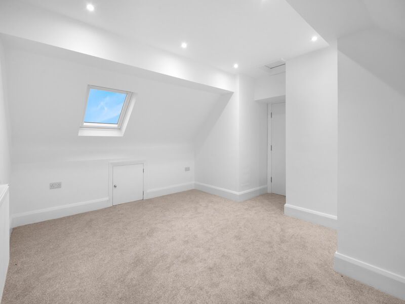 White attic room with skylight, carpet, and a small door.
