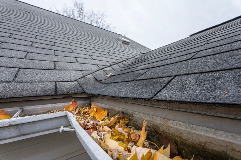 A Gutter Filled With Leaves is on the Roof of a House — Ausmade Services Pty Ltd in Brisbane, QLD