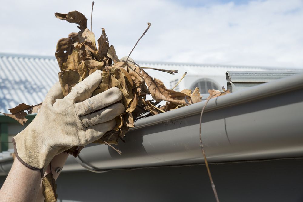 Gloved Hand Cleans Gutter — Ausmade Services Pty Ltd in Carina, QLD
