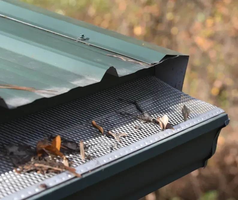 A Fine Mesh Gutter Guard Preventing Leaves from Blocking the Gutter — Ausmade Services Pty Ltd in Chapel Hill, QLD