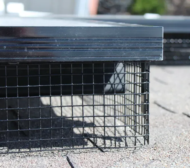 Solar Panels on a Rooftop with Wire Bird Proofing Screen — Ausmade Services Pty Ltd in Chapel Hill, QLD