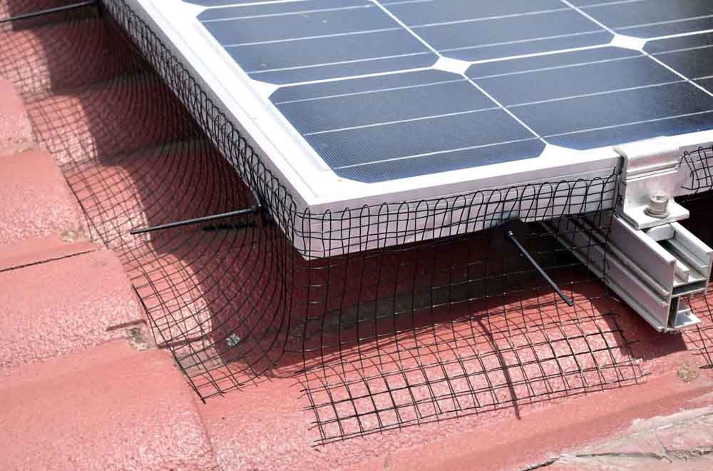 Bird Proofing On Solar Panel — Ausmade Services Pty Ltd in Chapel Hill, QLD