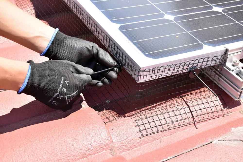 Installing Bird Proofing On Solar Panels — Ausmade Services Pty Ltd in Chapel Hill, QLD