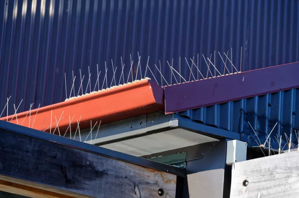 A Close Up Of A Roof With Spikes On It — Ausmade Services Pty Ltd in Chapel Hill, QLD