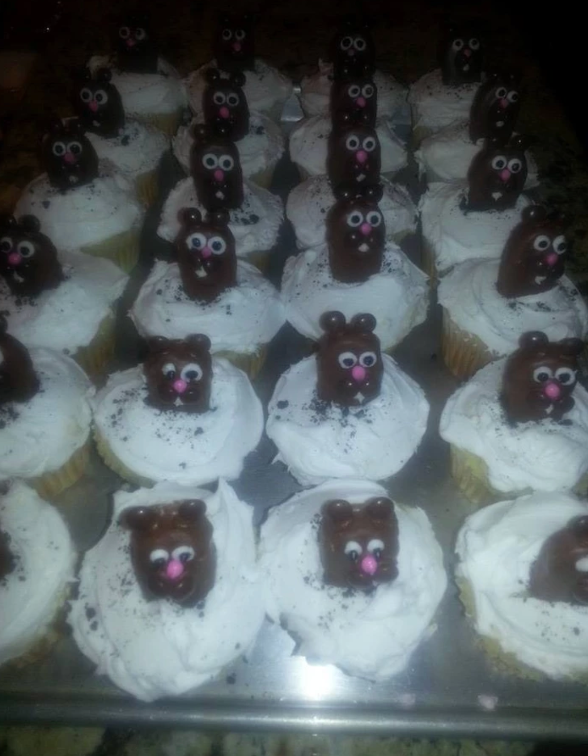 Cupcakes with white frosting and chocolate bear decorations, arranged on a tray.