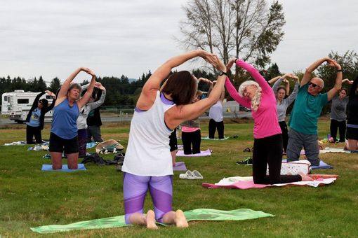 People doing kneeling yoga stretches on mats outdoors in a grassy field